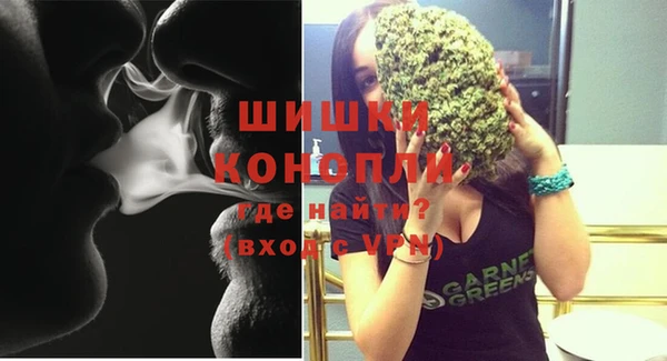 дживик Снежинск