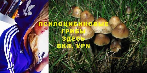 дживик Снежинск