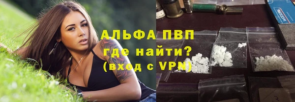 стаф Снежногорск