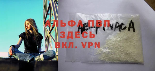 стаф Снежногорск
