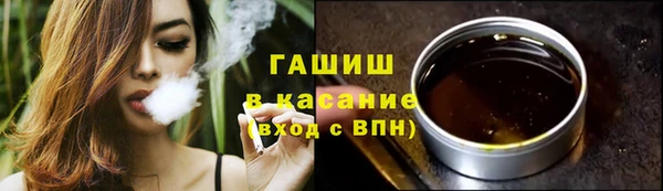 стаф Снежногорск
