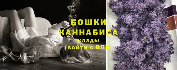 стаф Снежногорск