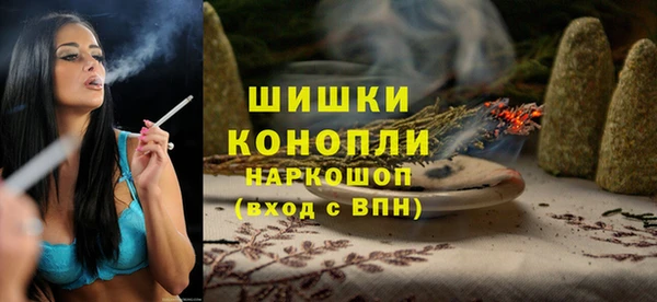 стаф Снежногорск
