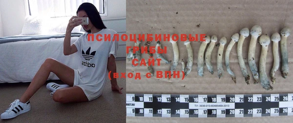 дживик Снежинск