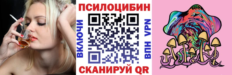 где найти   Щёкино  Галлюциногенные грибы Magic Shrooms 
